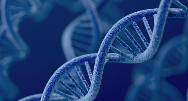 DNA